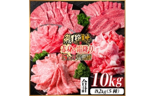 ＜毎月定期便＞飛騨牛　赤身・霜降り定期便　計10kg カルビ・赤身・ロース(焼肉・BBQ用)全5回【4075141】