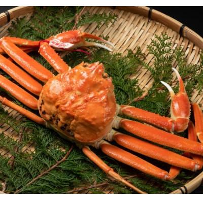 ふるさと納税 智頭町 【11月中旬以降順次発送】ブランドタグ付ボイル松葉ガニ(LL　約1kg)　OM-25
