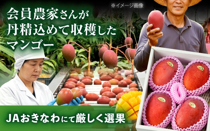 訳ありマンゴー 約3kg 完熟マンゴー 訳あり 約3キロ訳アリ わけあり ワケあり ワケアリ マンゴー まんごー Mango