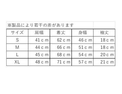 A05-012 第38回2023三浦国際市民マラソンオリジナルTシャツ（XLサイズ）