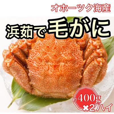 ふるさと納税 北見市 オホーツク海産　浜茹で毛がに　約400g×2ハイ(冷蔵)