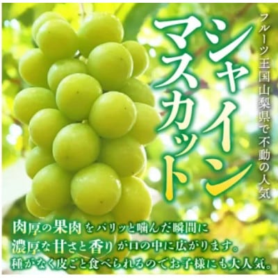 【発送月固定定期便】桃2kg(5～8玉)　黒ぶどう1房　シャインマスカット2房1kg以上全3回【配送不可地域：離島・沖縄県】