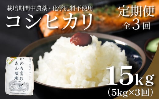 【定期便3回】 新米 米 コシヒカリ 計15kg 5kg×3回 精米したて お米 定期便 ｜ 四国 徳島県 小松島 白米 栽培期間中無農薬 ふるさと納税 おいしい こめ おこめ 精米 国産 限定 ごはん ご飯 白飯 ゴハン ふるさと ランキング 人気 送料無料 国産 TGK 卵かけご飯 おにぎり いのち育む田んぼ米 生物多様性【北海道･東北･沖縄･離島への配送不可】