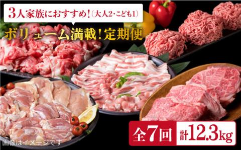 【定期便】家族でたっぷり！ボリューム満載 糸島お肉セット 定期便 全7回 （月1回） 3人用 糸島市 / 糸島ミートデリ工房 [ACA086] 肉セット 精肉セット 肉定期便 定期便肉 定期便おすすめ 定期便月1回