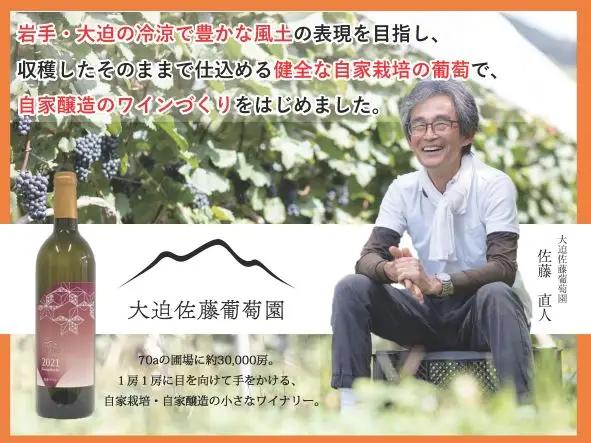 大迫佐藤葡萄園ワイン3本セット（ツヴァイゲルト赤・ロゼ・メルロー・干しぶどう） 【1396】