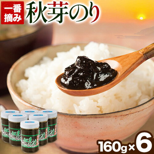 【ふるさと納税】海苔の佃煮 秋芽のり160g×6本 有明海苔 長洲町《60日以内に出荷予定(土日祝除く)》おかず お惣菜 海苔の佃煮 のり佃煮 ご飯のお供 ごはんのおとも