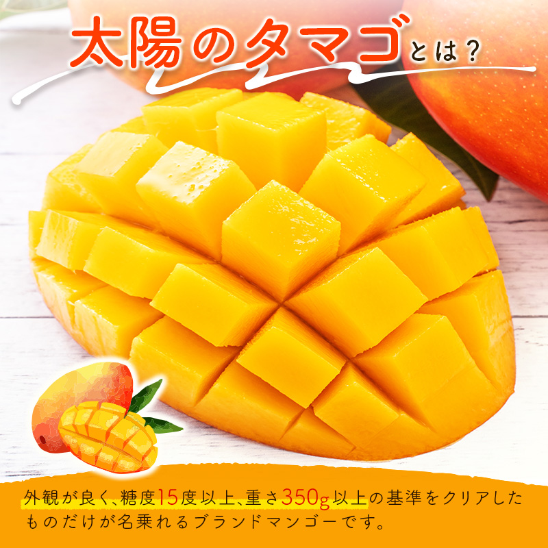 数量限定 宮崎県産 完熟マンゴー＜太陽のタマゴ＞4L×2玉 計1kg以上 ※2027年4月下旬配送開始 化粧箱入 フルーツ くだもの【E169-27】