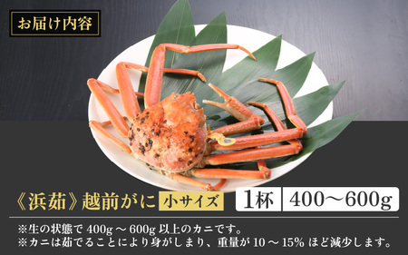 越前がに本場の越前町からお届け！ 越前がに 浜茹で 小サイズ（生で400～600g） × 1杯【かに カニ 蟹】【福井県 越前町 雄 ズワイガニ ボイル 冷蔵 越前ガニ 越前かに 越前カニ ずわいがに