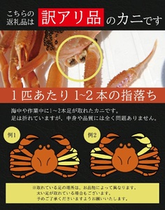 SB0764　【訳あり】生・本ズワイガニ 2匹(計650g程度)