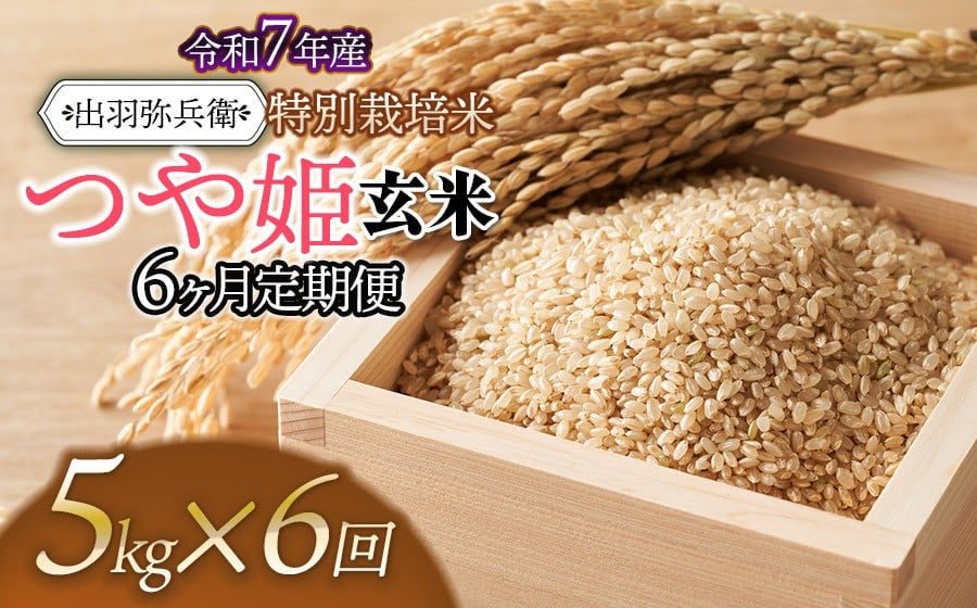 
                  【令和7年産】【定期便6ヶ月】特別栽培米 つや姫 【玄米】 5kg×6ヶ月　山形県鶴岡市産　出羽弥兵衛
                