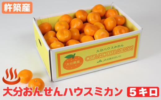 大分おんせんハウスミカン 約5kg（バラ詰め）＜132-023＞