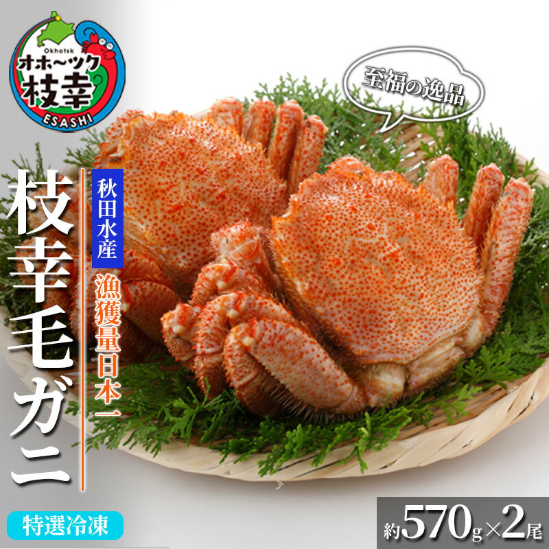 【ふるさと納税】【漁獲量日本一】至福の逸品！特選冷凍「枝幸毛がに」約570g×2尾 毛蟹 毛ガニ オホーツク 北海道加工食品 地域のお礼の品 カタログ 毛カニ