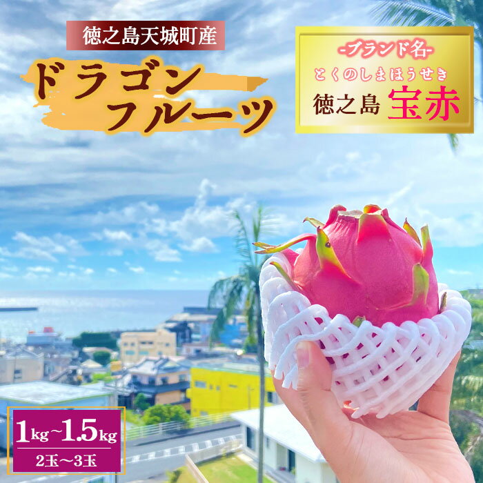 【ふるさと納税】【2025年発送】天城町産 徳之島宝赤 プレミアム ドラゴンフルーツ 赤玉 1～1.5kg(2玉～3玉) トロピカルフルーツ フルーツ 果物 果実 ピタヤ