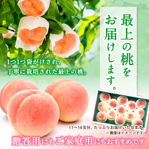 桃 【来年2026年出荷分 先行予約】和歌山県産 白鳳 11～15玉 秀品 ※2026年6月下旬から7月下旬ごろ発送【mtgn045】