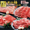 【ふるさと納税】【神戸牛・年間定期便】黒田庄和牛特選モモ・肩ロース贅沢極コース＜冷蔵＞（焼肉・すき焼き・しゃぶしゃぶ・ステーキから選べます！）