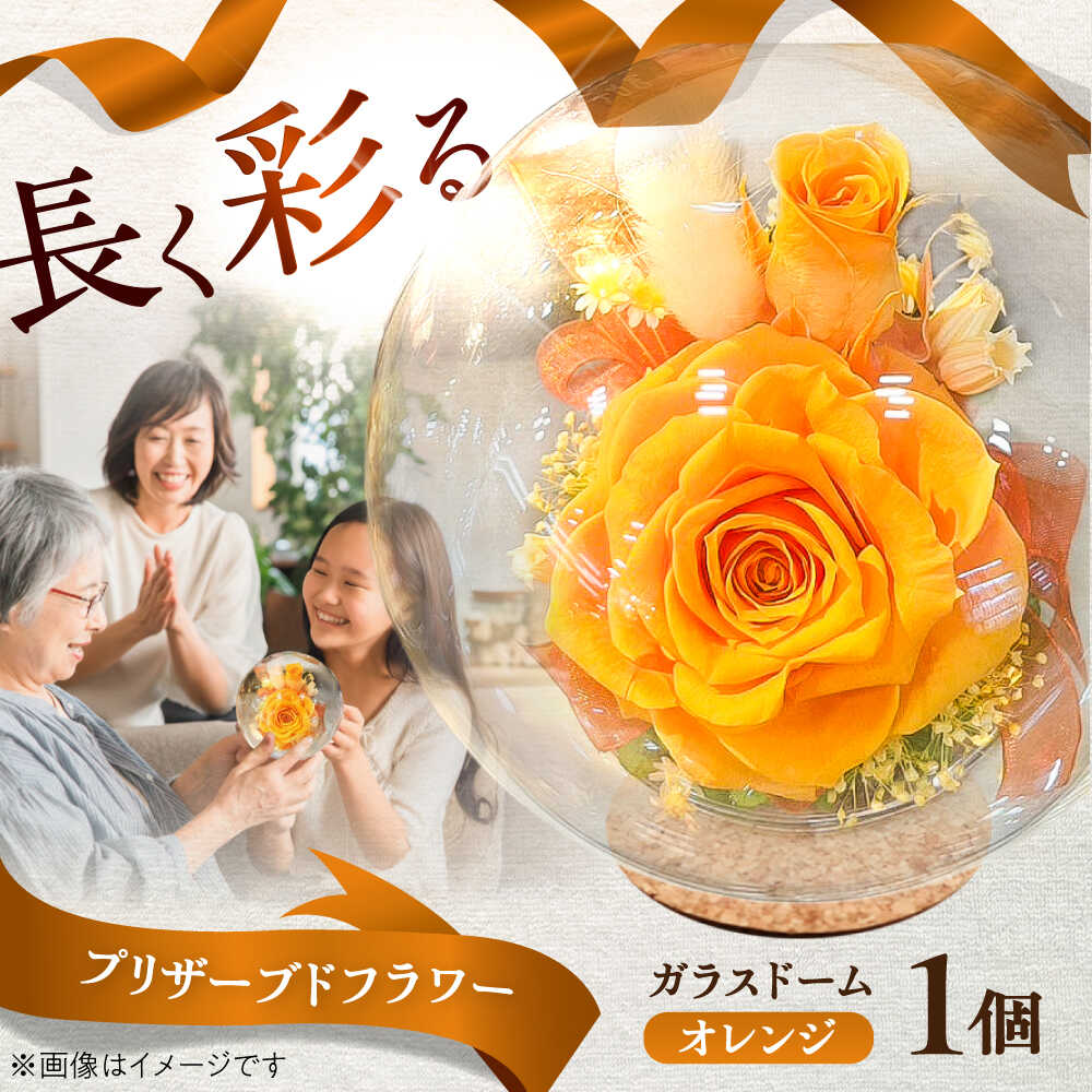 【ふるさと納税】プリザーブドフラワー ガラスドーム (オレンジ) / プリザーブド フラワー ガラス ドーム 花 プレゼント 誕生日 記念日 結婚祝い 母の日 父の日 敬老の日 開店祝い 新築祝い 入学式 卒業式 枯れない 長持ち 菊陽 熊本【株式会社 美向】[BHDC001]