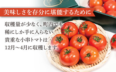 【6回定期便】小串トマトの濃厚150％ピューレ「OGUSHI」6本セット【草加家】[OBH007]