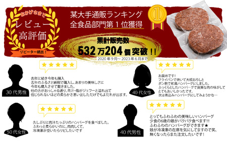 FM031_【最長半年待ちの大人気】佐賀牛入り熟成ハンバーグ18個＋2個【期間限定】