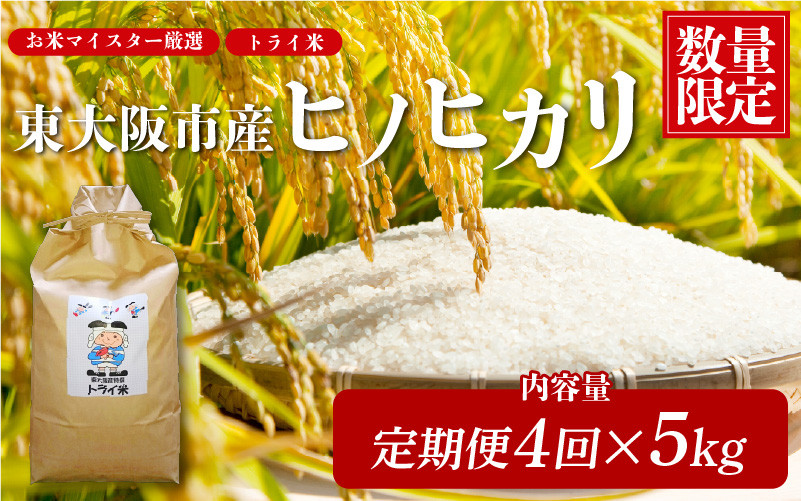 
                  【 定期便 全4回！】東大阪市産 ヒノヒカリ 令和7年度産 5㎏ お米マイスター厳選 トライ米 月1×4回【 お米マイスター厳選 米 お米 白米 コメ ひのひかり 精米 新生活 応援  】
                