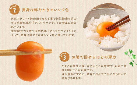 【定期便：12か月】【食べチョクアワード2025 畜産部門 1位の日本一のたまご】単なる平飼いではない『わたしたちのぷらいどたまご』6パック（60個）セット