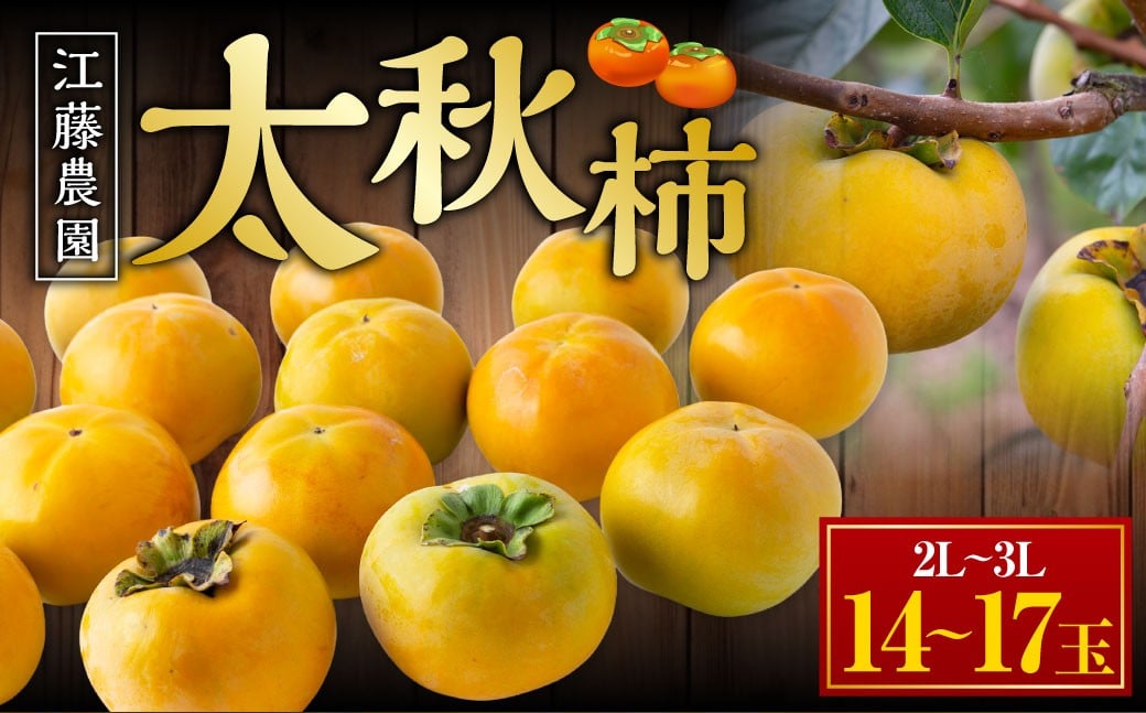 
            【先行予約】 江藤農園 太秋柿 14玉から17玉 （約5kg） 【2026年10月下旬から11月上旬 出荷予定】 柿 かき カキ 太秋 たいしゅう 完全甘柿 果物 くだもの フルーツ 果実 ジューシー お取り寄せ 福岡県 うきは市
          