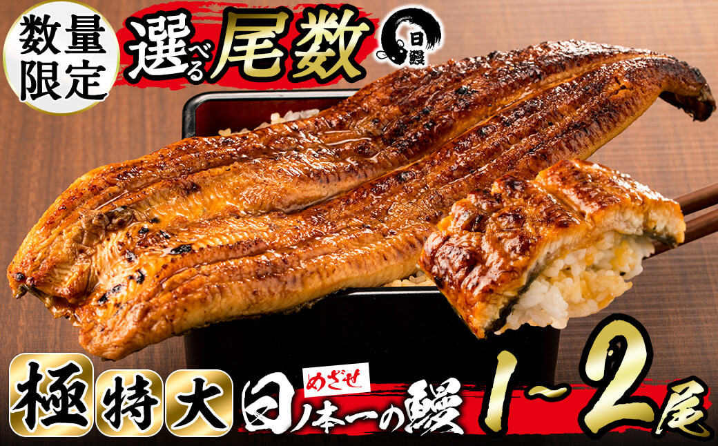 
                  【尾数が選べる！】【数量限定】うなぎ生産量日本一の鹿児島県産！日ノ本一の鰻の蒲焼き＜極特大＞1尾～2尾！うなぎ 鰻 ウナギ 1尾 2尾 蒲焼き かばやき 冷凍 うな重 ひつまぶし タレ 山椒
                