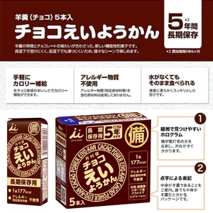 チョコえいようかん 非常食  1セット(20本:5本入×4) ミニようかん ひとくち羊羹 スティック スイーツ 和菓子 おやつ お菓子 備蓄 保存食 長期保存 栄養補給 防災 災害対策 登山 行動食 