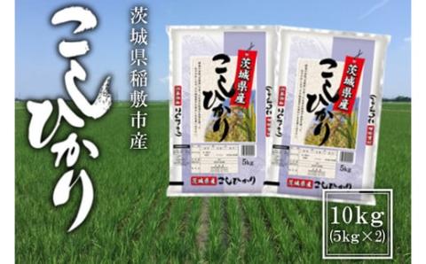 新米【令和6年産】稲敷市産 コシヒカリ 10kg (5kg×2袋) [1111]