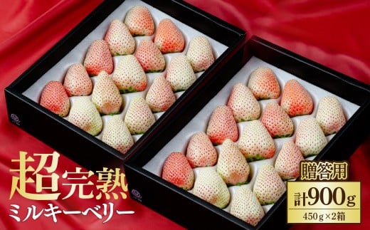 【先行受付：2月以降発送】鈴木ファーム厳選『幻のミルキーベリー』ギフト900g(450g×2箱) | いちご イチゴ 苺 ミルキーベリー ミルキー 完熟 果物 フルーツ 甘い あまい贈答用 ギフト プレゼント 鈴木ファーム 栃木県 茂木町