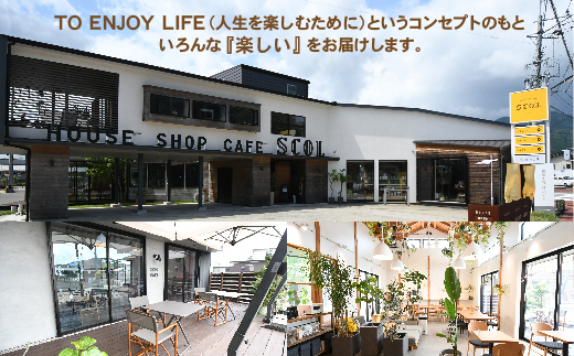  SCOL CAFE 多久産ブルーベリーとクリームチーズのパウンドケーキ _b-452