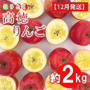 【ふるさと納税】りんご 【 12月発送 特選 】 高徳 （ こうとく ）りんご 約 2kg 【 弘前市産 青森りんご 】　果物類・林檎・りんご・リンゴ・青森県産　お届け：2024年12月1日～2024年12月31日