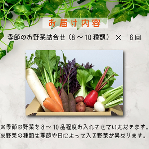【定期便 全6回】季節の野菜詰め合わせセット（新鮮 採れたて 野菜 セット 定期便 詰め合わせ 宮崎県）
