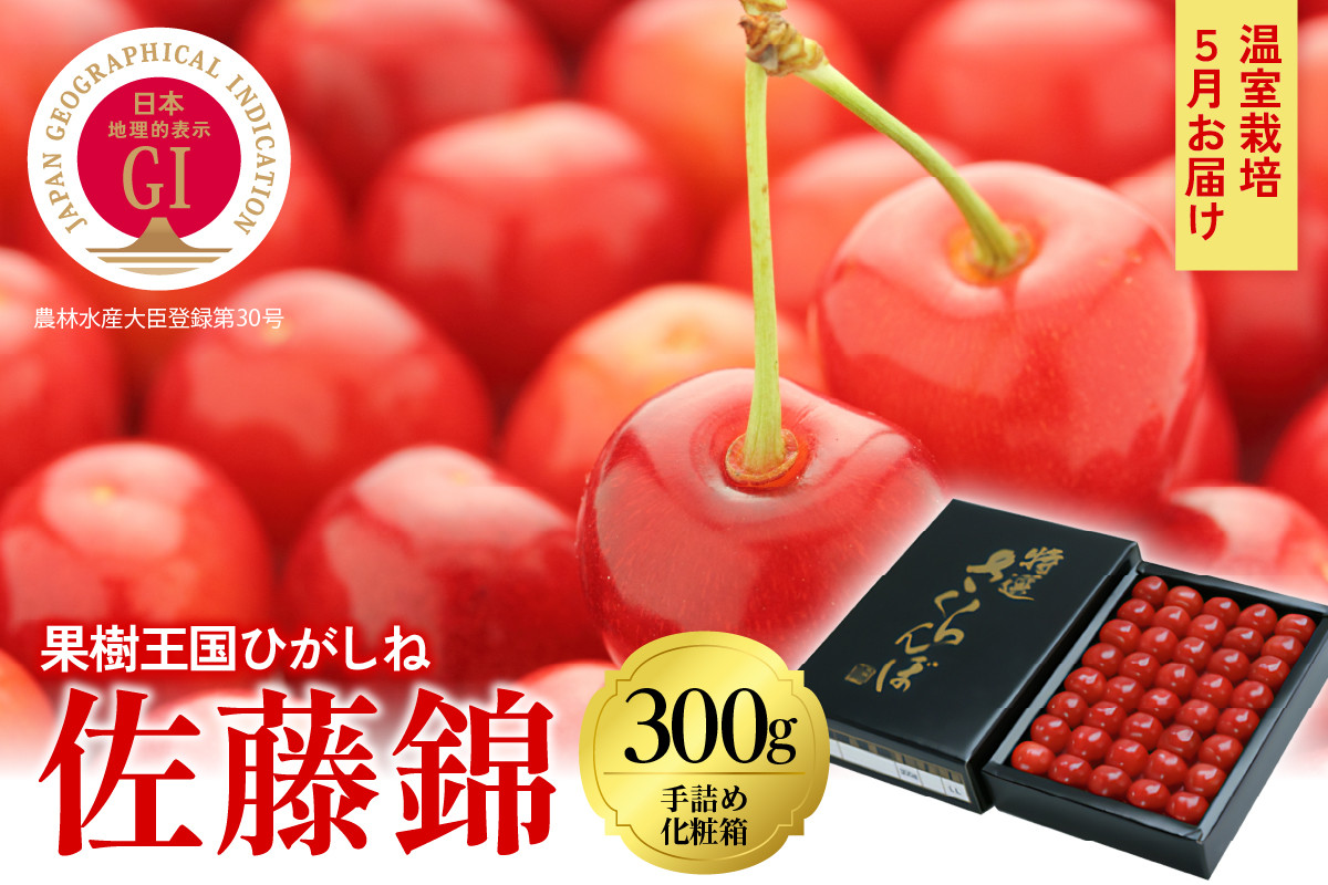 
2024年産【5月お届け】GI「東根さくらんぼ」佐藤錦300g化粧箱詰め 東根農産センター提供　hi027-080
