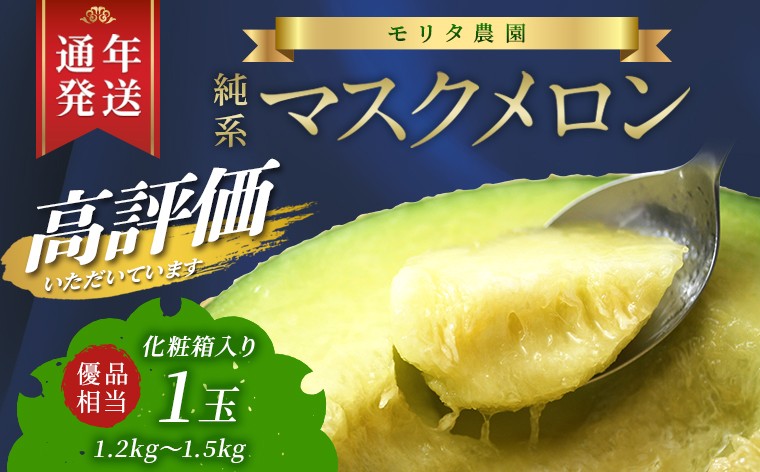 
                  【最短4月発送！通年栽培】純系マスクメロン１玉（化粧箱入）　メロン マスクメロン フルーツ 果物 1玉 1個 年間 通年 2026年 先行予約 先行受付 発送 すぐ 発送時期選べる おすすめ 贈答用 優 高級 化粧箱 箱入り プレゼント 贈り物 ギフト 国産 千葉県 富津市 送料無料 モリタ農園
                