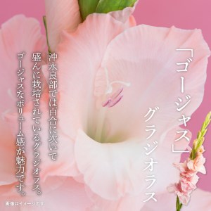 沖永良部島 で大切に育てられた えらぶユリ ・ グラジオラス 切り花 （中） セット W008-011u 花 お花 装花 ユリ ゆり 百合 えらぶ百合 ジオグラス セット 生花 きれい 福山花店 ふる