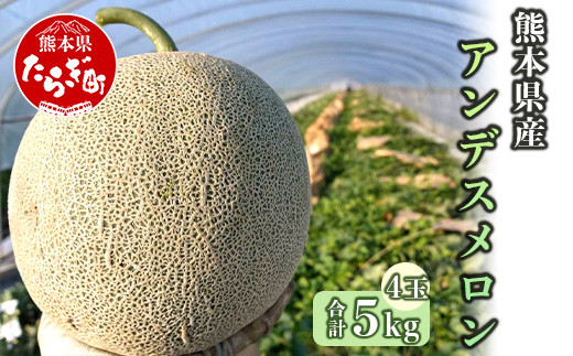 【2023年4月下旬より発送開始】 熊本県産 アンデスメロン 約5kg 4玉 メロン