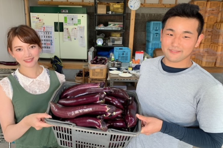 AF002【令和7年度出荷分】皮までおいしい！島原 大長ナス 2kg（7～8本）_イメージ5