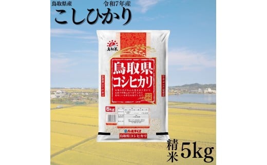 383KZ.鳥取県産こしひかり◇精米5kg◇令和7年産