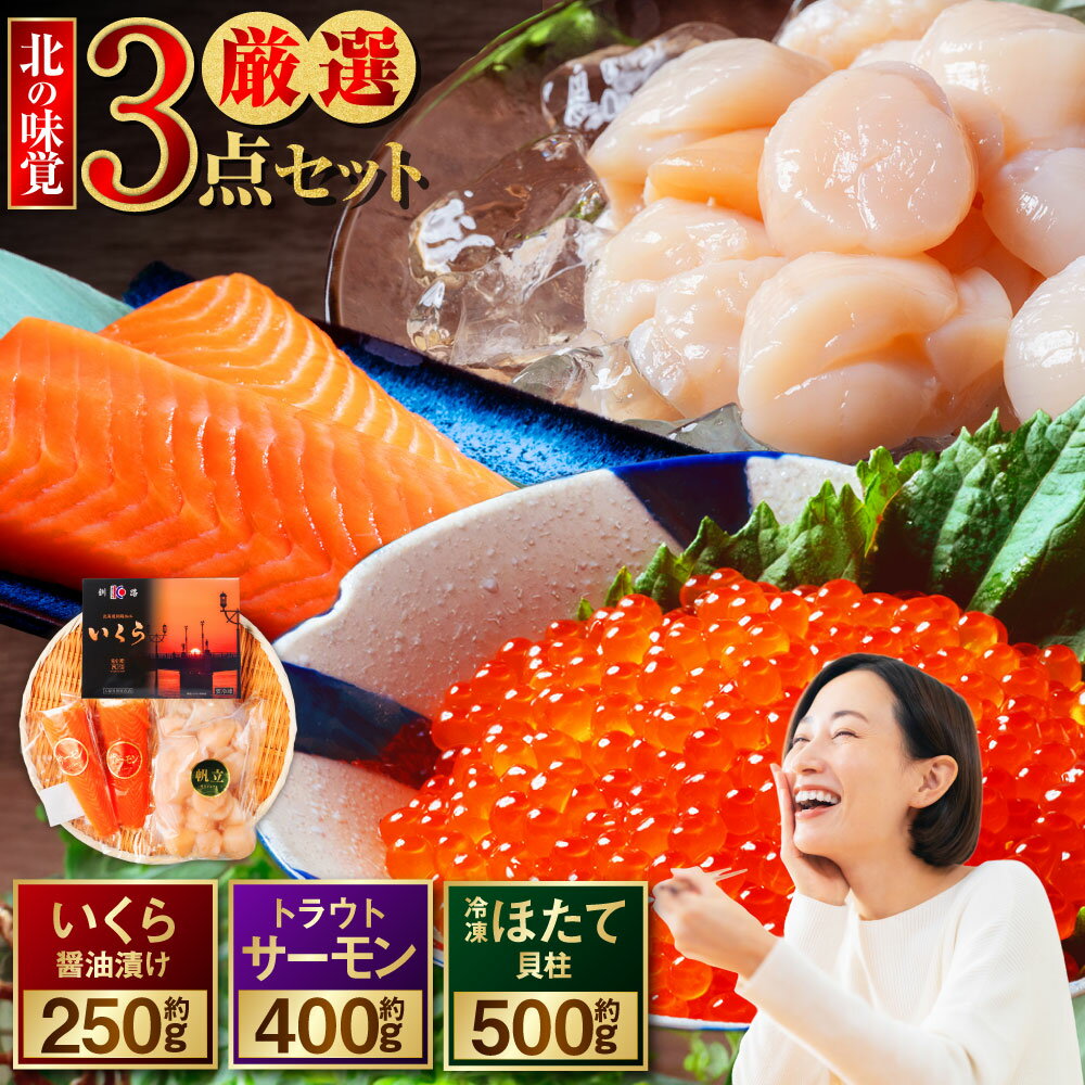 【ふるさと納税】北の味覚海鮮3点セット いくら250g / サーモン400g / ほたて500g 海鮮丼 セット 鮭 シャケ サケ 魚卵 海鮮 海鮮セット 刺身 福袋 厳選 3種 サーモン いくら イクラ 醤油漬け ホタテ ほたて 貝柱 お刺身 おかず 小分け 冷凍 冷凍配送 北海道 釧路市 送料無料