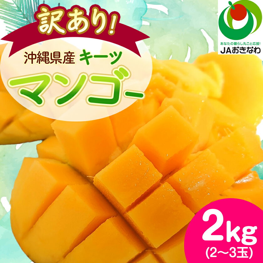【ふるさと納税】【2025年発送・訳あり】キーツマンゴー2.0kg(2～3玉)_ マンゴー フルーツ 果物 くだもの キーツマンゴー 人気 おすすめ 送料無料 訳あり 傷 規格外 完熟 沖縄県 常温 【1494452】