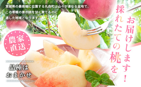 【先行予約】《7月中旬～9月中旬出荷》桃13玉～16玉（約5kg）　もも品種おまかせ　あかつき　白桃　黄金桃　黄貴妃　きららのきわみ【48005】