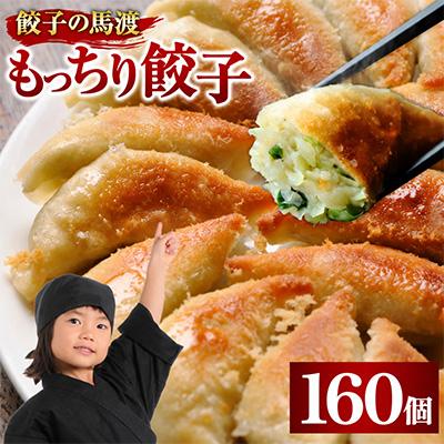 ふるさと納税 高鍋町 【JAPAN餃子大賞2026 通販餃子最高金賞受賞】馬渡のもっちり餃子160個