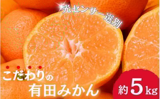 【2025年12月発送予約分】＼光センサー選別／農家直送 こだわりの有田みかん 約5kg＋250g(傷み補償分) 【ご家庭用】【12月発送】みかん ミカン 有田みかん 温州みかん 柑橘 有田 和歌山 ※北海道・沖縄・離島配送不可【nuk160-12】