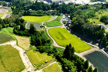 【令和7年産】産地直送　源流に育まれた、キヌムスメ米（5kg）【お米 5kg きぬむすめ 令和7年度産 2025年度産 島根県産 絹娘 精米 白米 大田市産 米 2025年産 こめ おこめ JA 島根