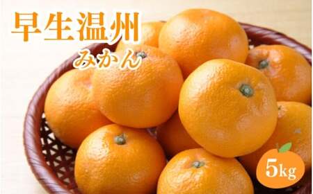 ＼新登場／ 【先行予約】 【全3回定期便】葵農園が贈る！ 秋のこだわりみかんコース （ゆら早生・早生温州・YN-26 各5kgずつ） ※2025年9月より3回お届け / みかん 定期便 柑橘 ゆら早生