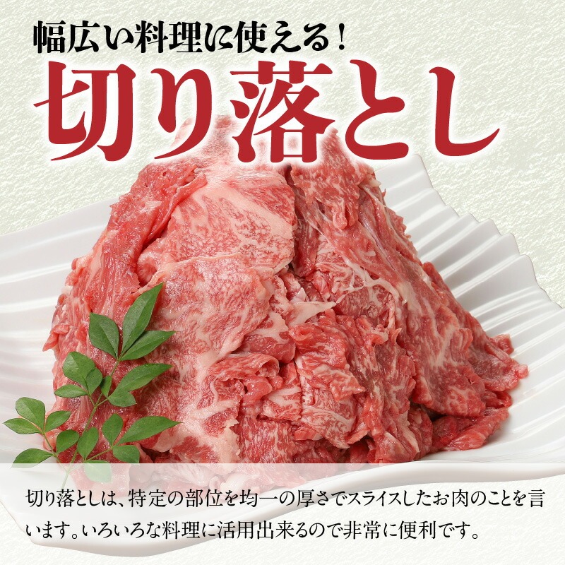 宮崎牛切り落とし1kg N0140-YA5507