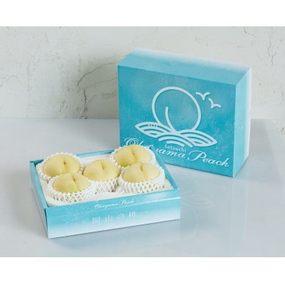 岡山県産おかやま夢白桃5玉【エース】【配送不可地域：離島】