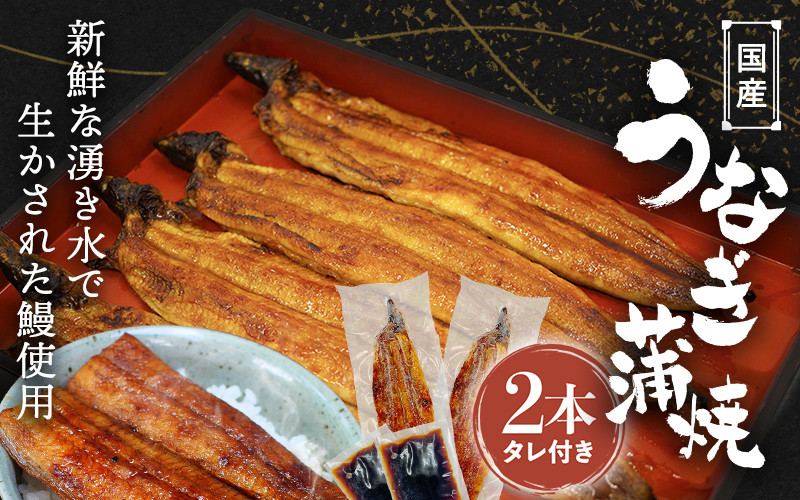 
            国産うなぎ蒲焼（２本）タレ付き  /  うなぎ 鰻 うなぎ 蒲焼き うなぎ蒲焼 和歌山 田辺市 国産 国産うなぎ 国産鰻 鰻丼 うな丼 土用の丑の日 【ots016】
          