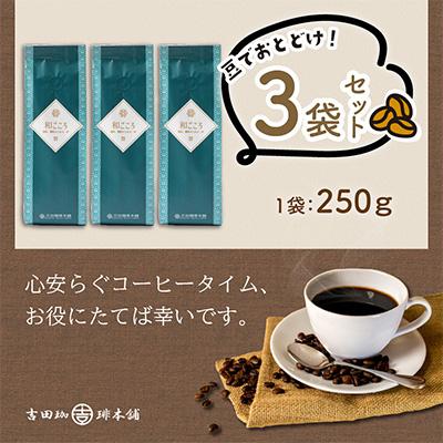 ふるさと納税 泉南市 ●【吉田珈琲本舗謹製】和ごころブレンド  250g×3袋/豆 |  | 01