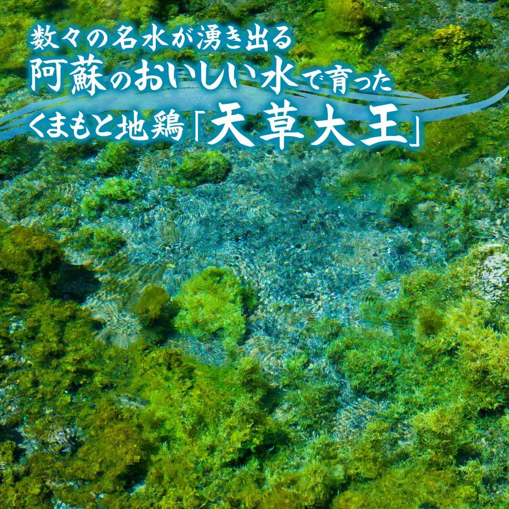 希少！くまもと地鶏　天草大王　一羽まるごとセット
